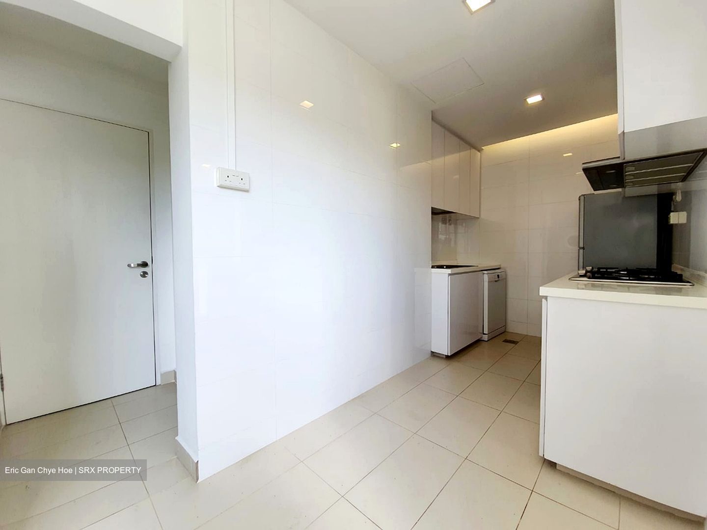 Nassim Regency (D10), Condominium #567708381